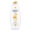 ژل دوش درمومد مدل Bagno Doccia حجم 650 میل